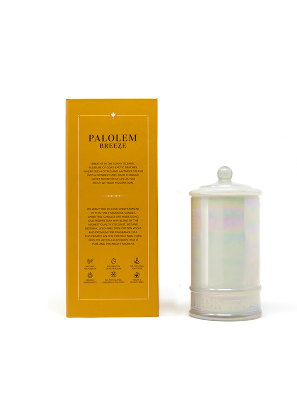 Palolem Breeze Fine Fragrance Candle, Natural Air Purifier, Toxin Free, 350g, 70hrs